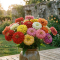 Zinnia Seeds – Non-GMO – Pure Seeds - No Filler - for Pollinator Gardens, Borders & Easy Outdoor Planting